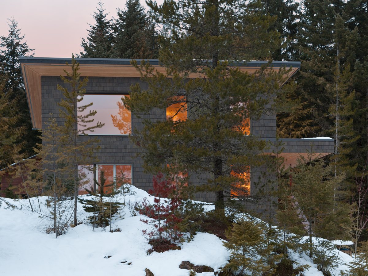 Winter residence among trees